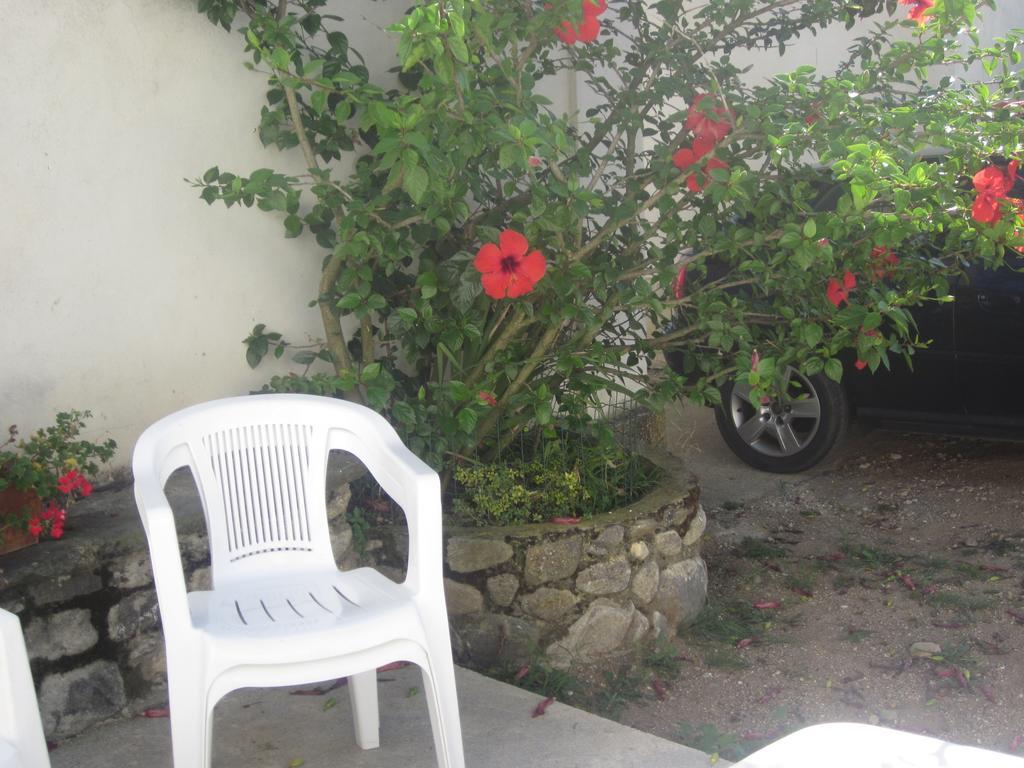 B&B Vaiana Maida Exterior foto