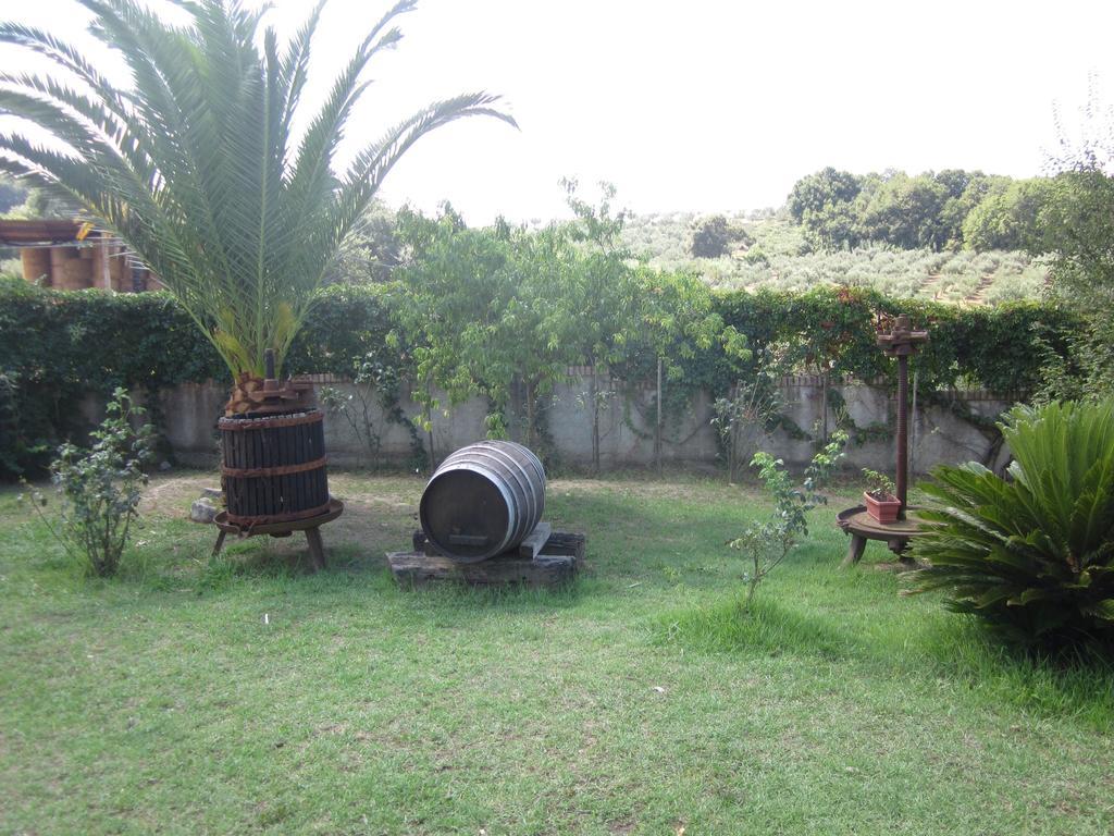 B&B Vaiana Maida Exterior foto