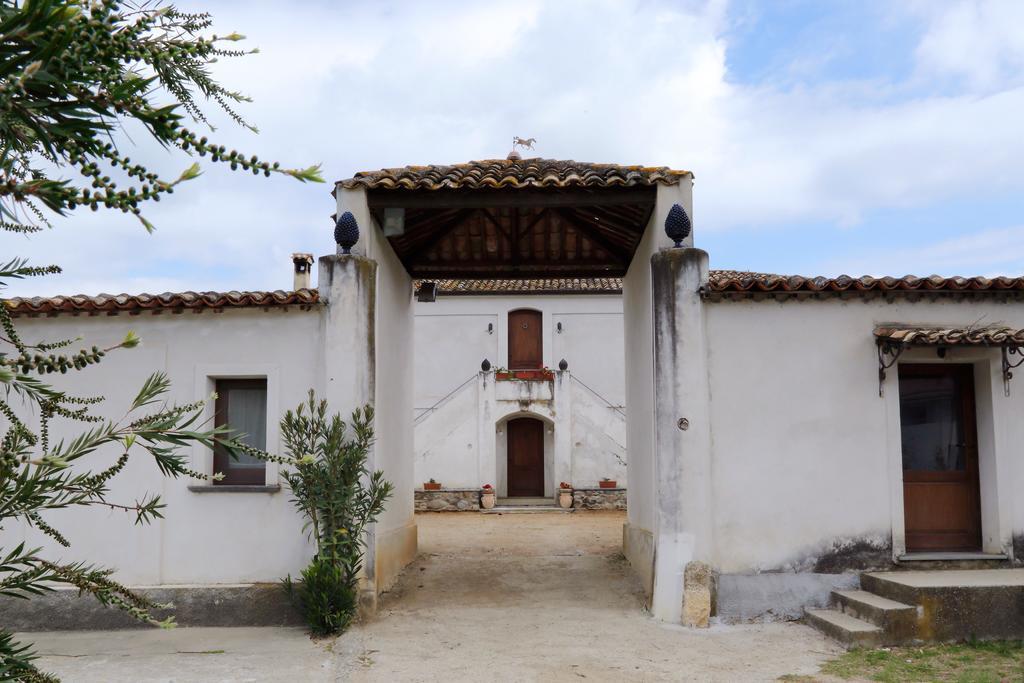 B&B Vaiana Maida Exterior foto