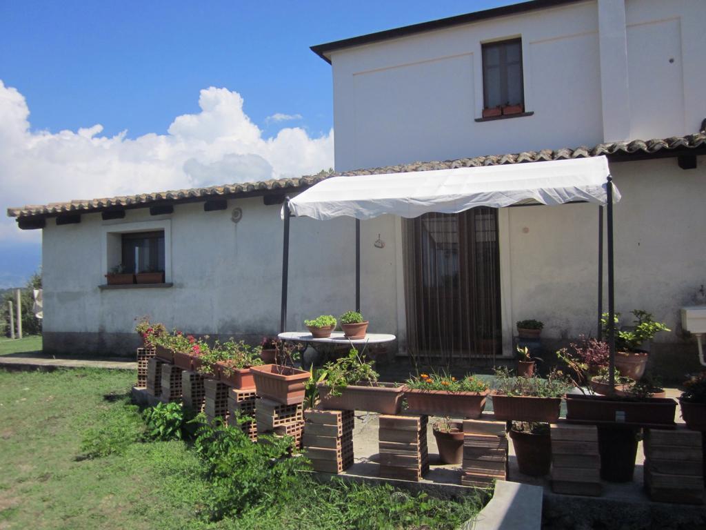 B&B Vaiana Maida Exterior foto